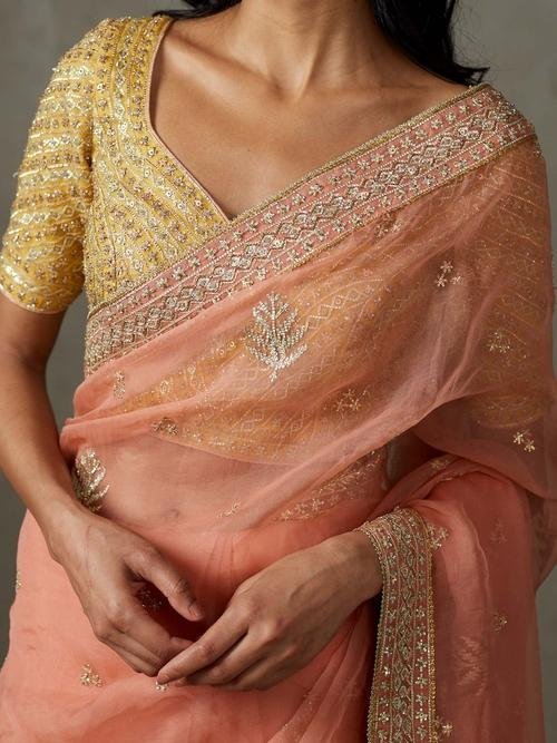 Coral Sterling Saree With Stitched Blouse - View 2